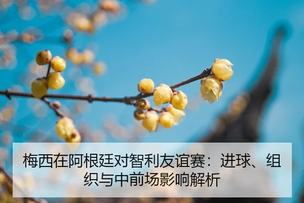 mei-xi-zai-a-gen-ting-dui-zhi-li-you-yi-sai-jin-qiu-zu-zhi-yu-zhong-qian-chang-ying-xiang-jie-xi-2-189.jpg